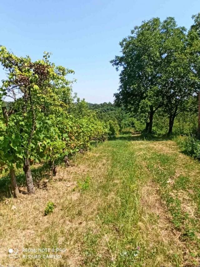 Prodaja vikendice na Banstolu