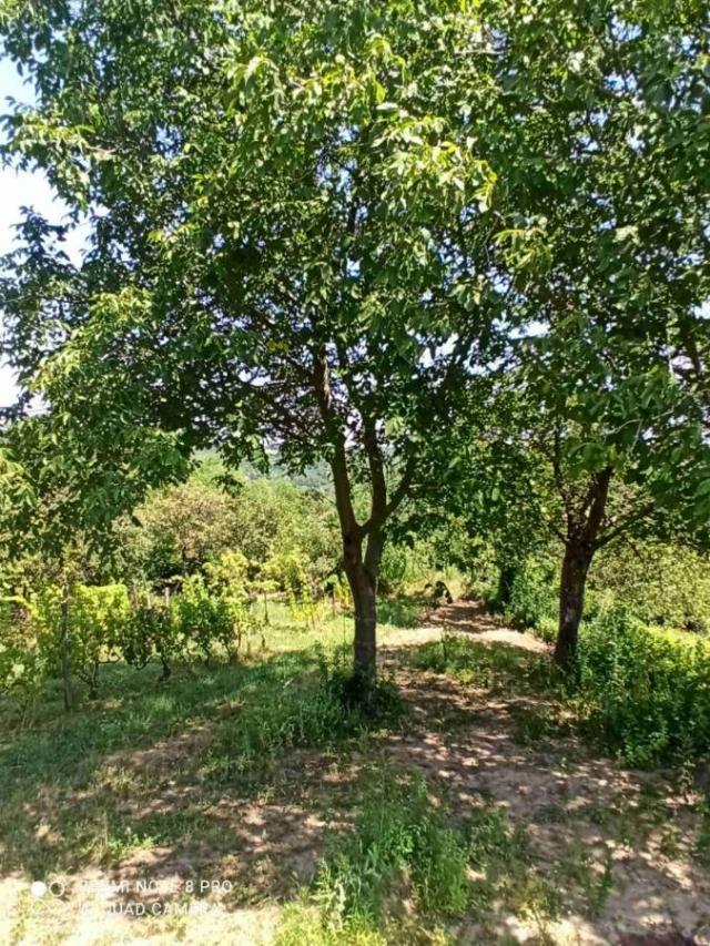 Prodaja vikendice na Banstolu