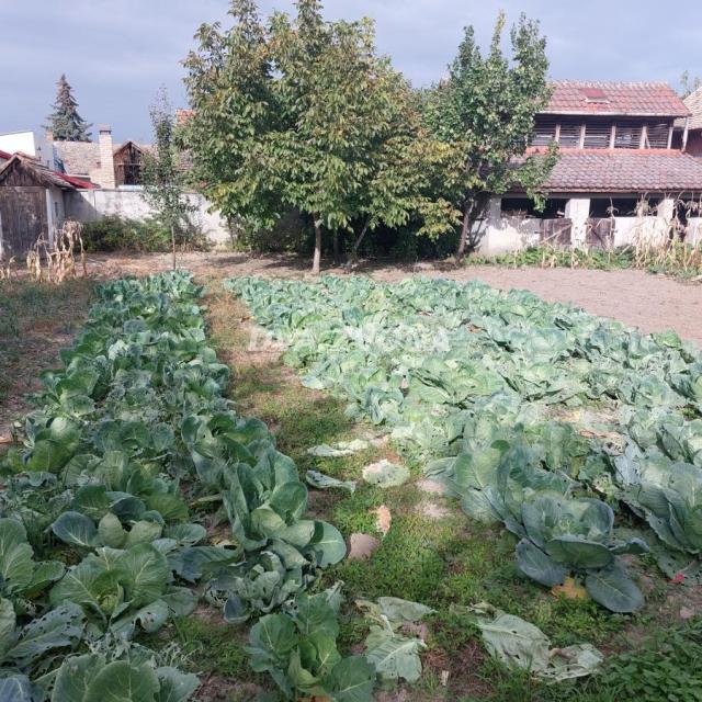 KUĆA U BAČKOM PETROVOM SELU NA GLAVNOJ ULICI POGODNA ZA POSLOVNI PROSTOR 8 SOBA!!!