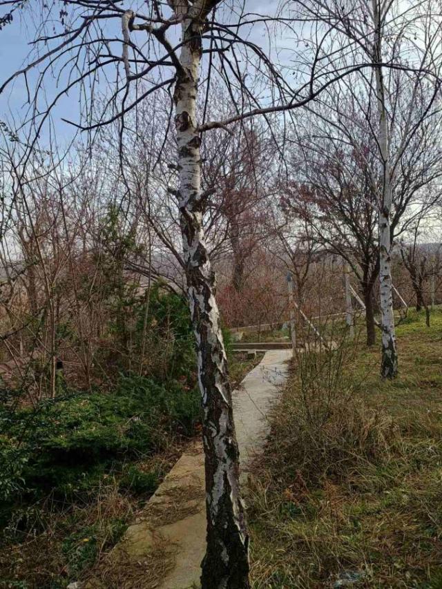 Odlična pozicija i pogled