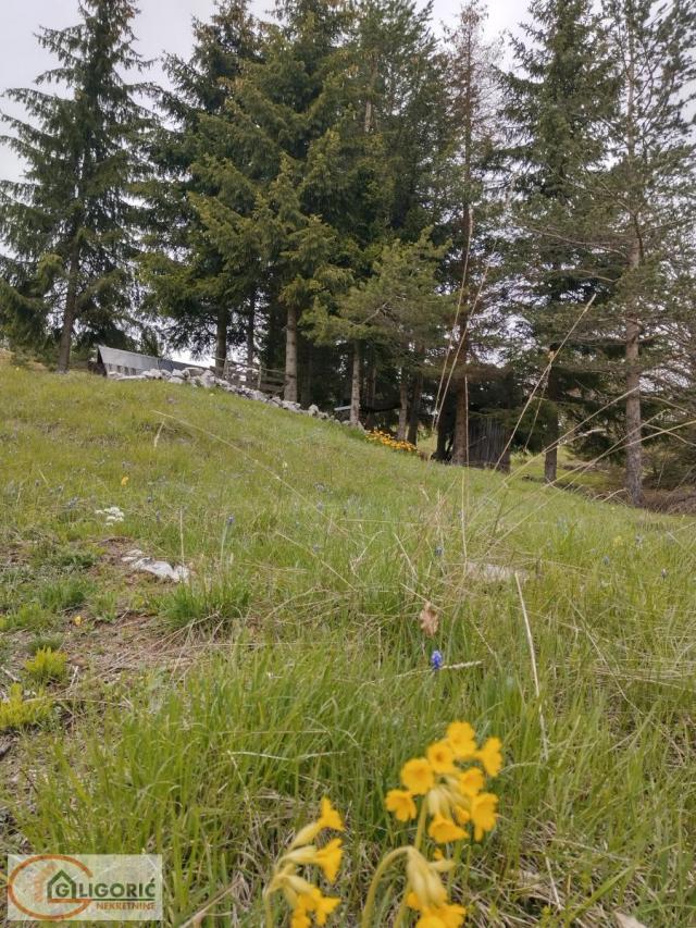 Plac na planini Tara - Uknjižen