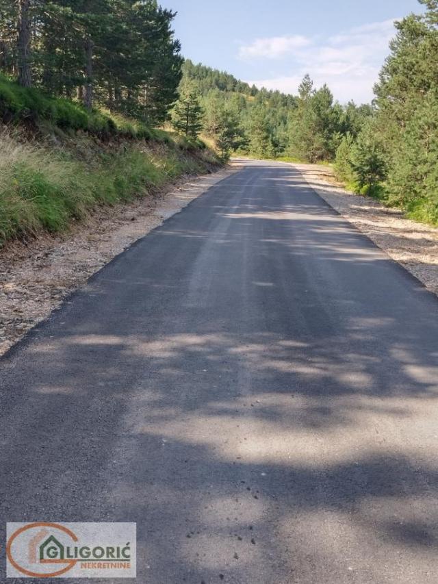 Plac na planini Tara - Uknjižen