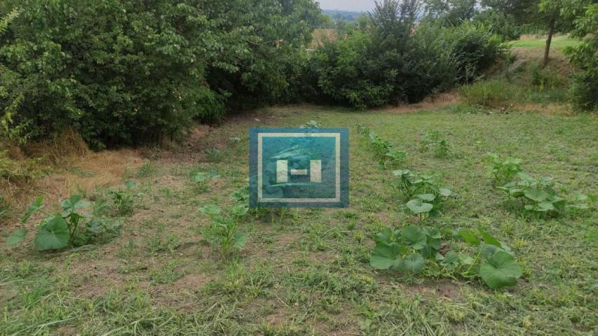 Domaćinstvo u okolini Jagodine kuca , ekonomski objekat, na placu od 6 ari