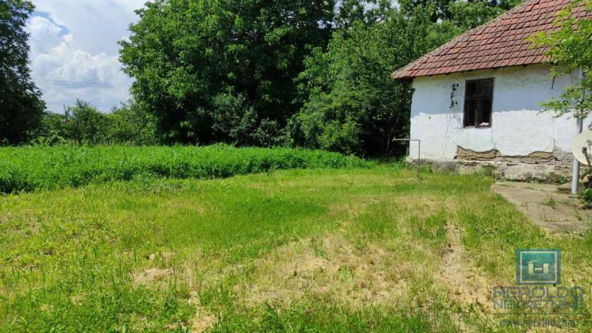 Seosko domacinstvo na 58 ari placa Ribare kod Jagodine