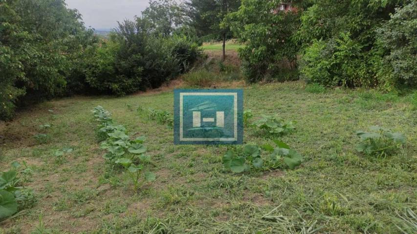 Domaćinstvo u okolini Jagodine kuca , ekonomski objekat, na placu od 6 ari