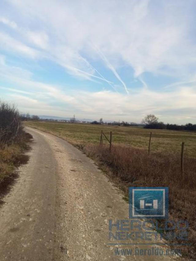 15 a plot of land on Ribarski put