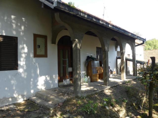 Two houses in the yard