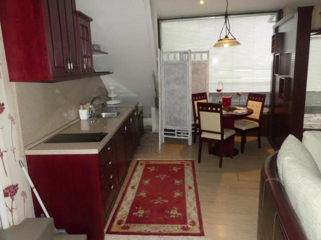 House with bar (furnished)