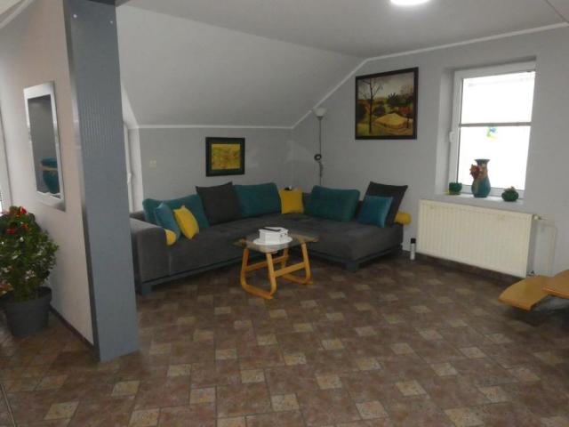 House with bar (furnished)