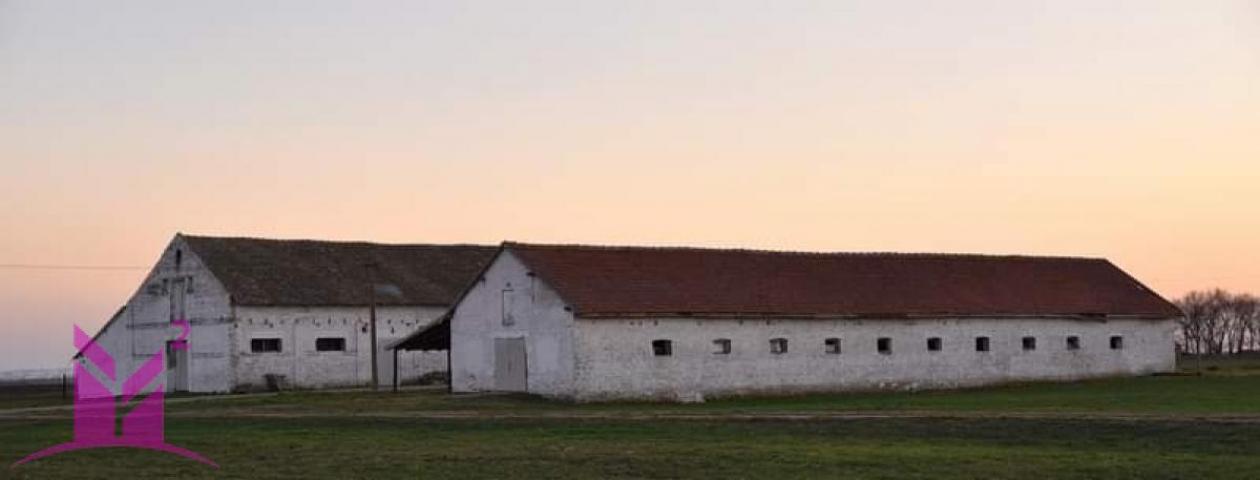 * Vrbas - Bačko dobro polje *