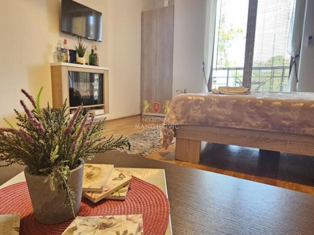 APARTMAN u Vrnjačkoj Banji