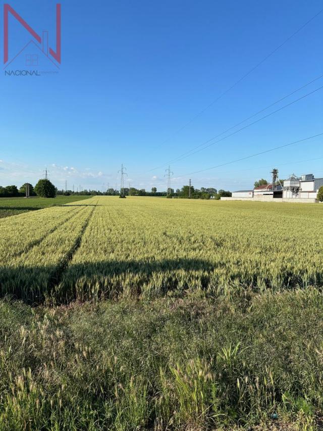 RUMENKA GRADJEVINSKI PLAC NA GLAVNOM PUTU KOD ENMONA 650000E