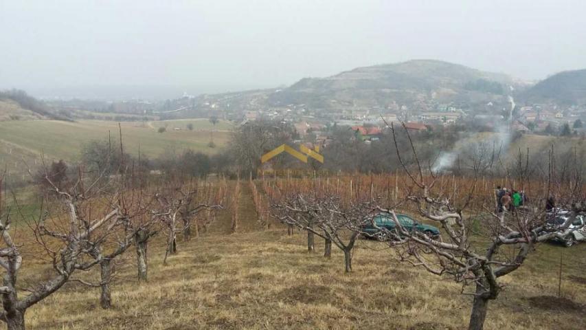 KUPI BEZ PROVIZIJE! Oaza Potencijala i Prirodne Lepote: Plac u Beočinu čeka na Vašu Viziju