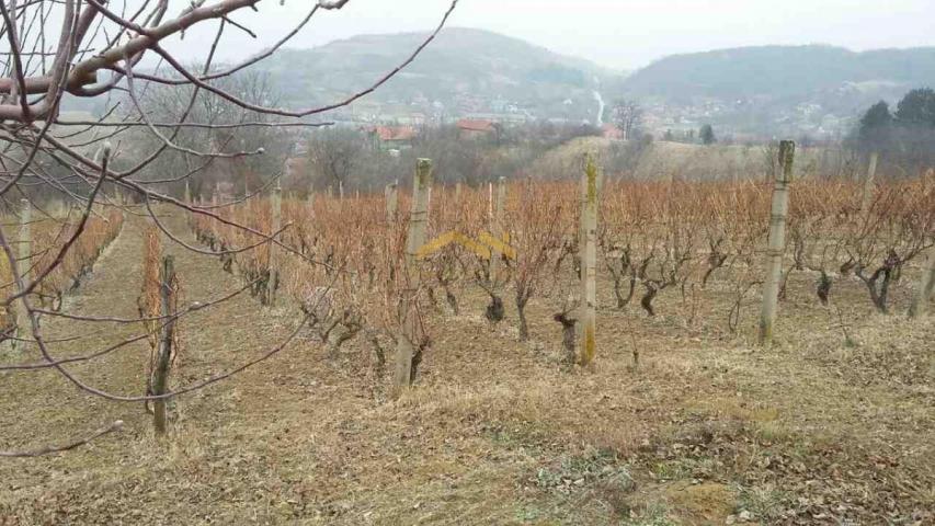 KUPI BEZ PROVIZIJE! Oaza Potencijala i Prirodne Lepote: Plac u Beočinu čeka na Vašu Viziju