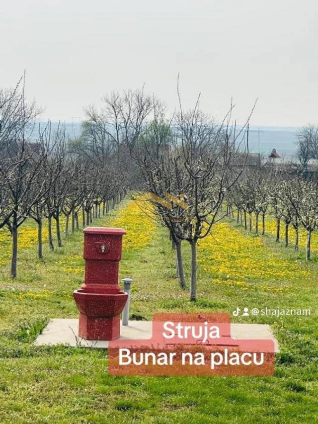 Idiličan Voćnjak sa Pudarskom Kućicom - Vaša Prilika za Mir i Biznis