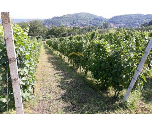 KUPI BEZ PROVIZIJE! Oaza Potencijala i Prirodne Lepote: Plac u Beočinu čeka na Vašu Viziju