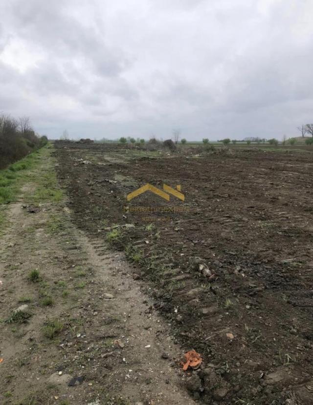 KUPI BEZ PROVIZIJE! Ekstra Povoljno! Plac na Glavnom Putu Futog-Begeč