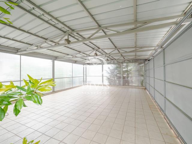 Lux vila na Dedinju, sa bazenom, 800m2, 12a placa