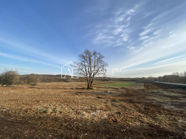 Istrien - Bale, Äußerst wertvolles landwirtschaftliches Land 11.200 m2