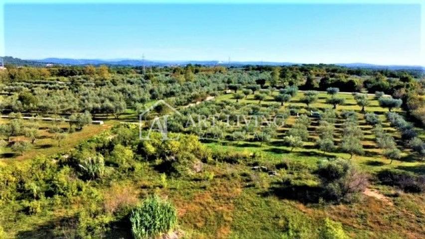 Umag-okolica, građevinsko zemljište 640 m2 na atraktivnoj lokaciji