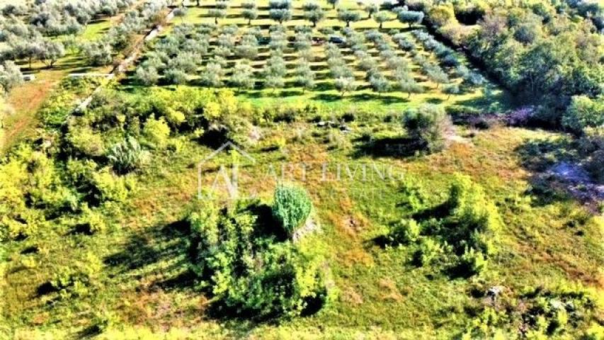 Umag-surroundings, 623 m2 attractive building plot