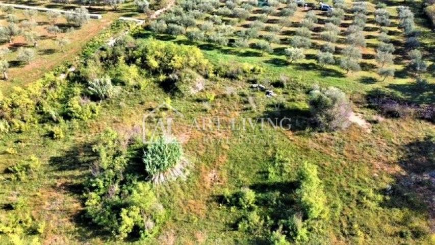 Umag-surroundings, 623 m2 attractive building plot