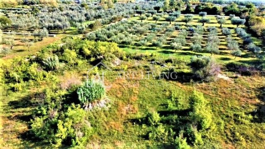 Umag-surroundings, 623 m2 attractive building plot