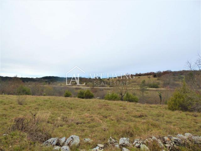 Oprtalj, a stone Istrian ruin for adaptation