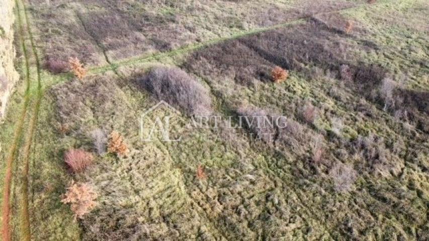 Umag-okolica, Atraktivno građevinsko zemljište 2981 m2 