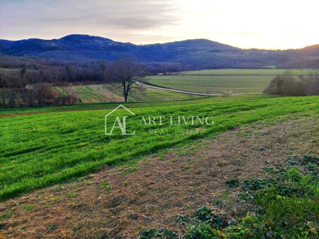 Motovun-Umgebung, Wertvolles Bauland mit Blick auf Motovun