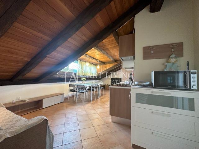 Istria, Poreč, surroundings - two-room apartment in the attic with use of a private pool