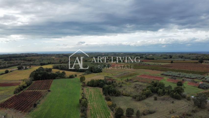 Poreč, Umgebung, attraktives Baugrundstück in der wunderschönen istrischen Landschaft