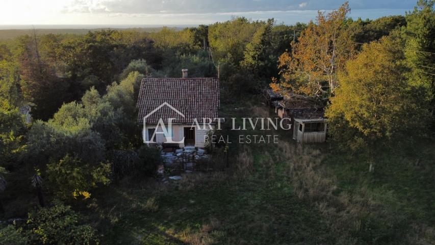 Umag, surroundings - OPPORTUNITY!! stone house for adaptation on a fantastic plot of land