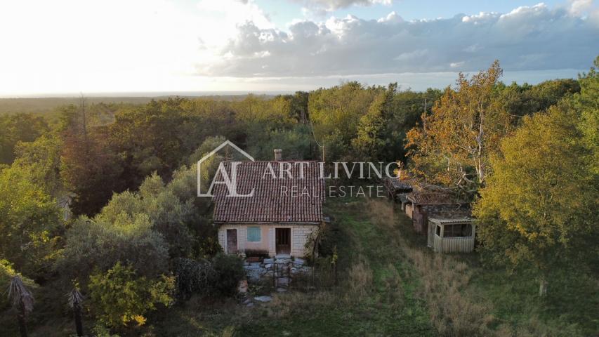 Umag, surroundings - OPPORTUNITY!! stone house for adaptation on a fantastic plot of land