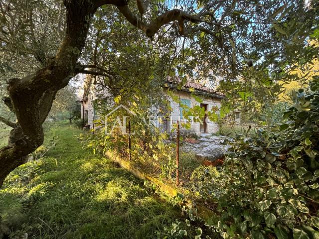 Umag, surroundings - OPPORTUNITY!! stone house for adaptation on a fantastic plot of land