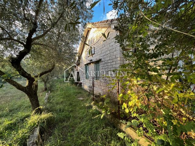 Umag, surroundings - OPPORTUNITY!! stone house for adaptation on a fantastic plot of land