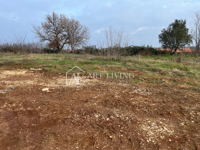 Istria, Umag, surroundings - attractive building plot with project - OPPORTUNITY!!