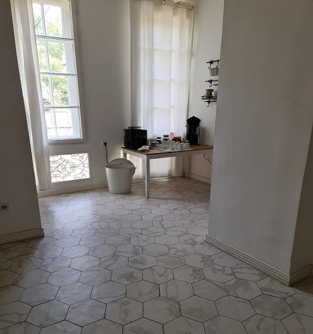 SAVSKI VENAC DEDINJE 200m2 , 2700e