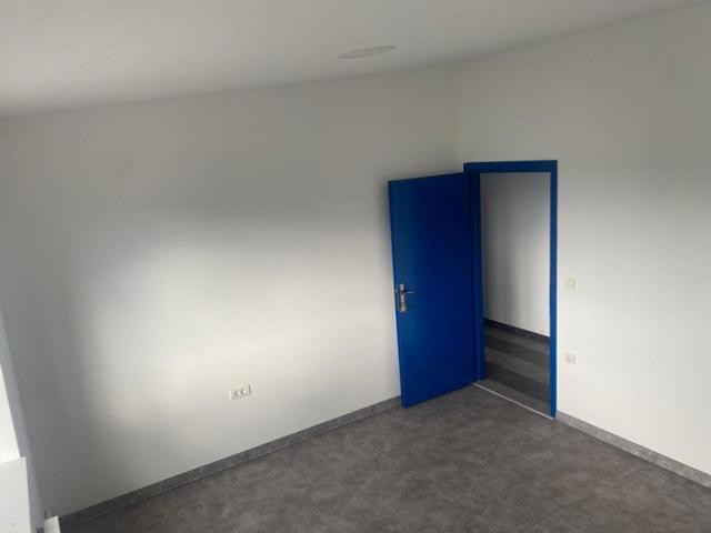 STARA PAZOVA STARA PAZOVA 1440m2 , 50ari , 5500e