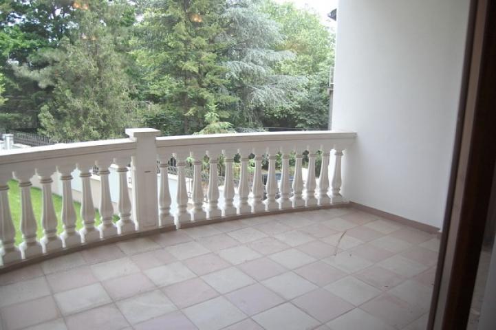 SAVSKI VENAC DEDINJE 300m2 , 3000e