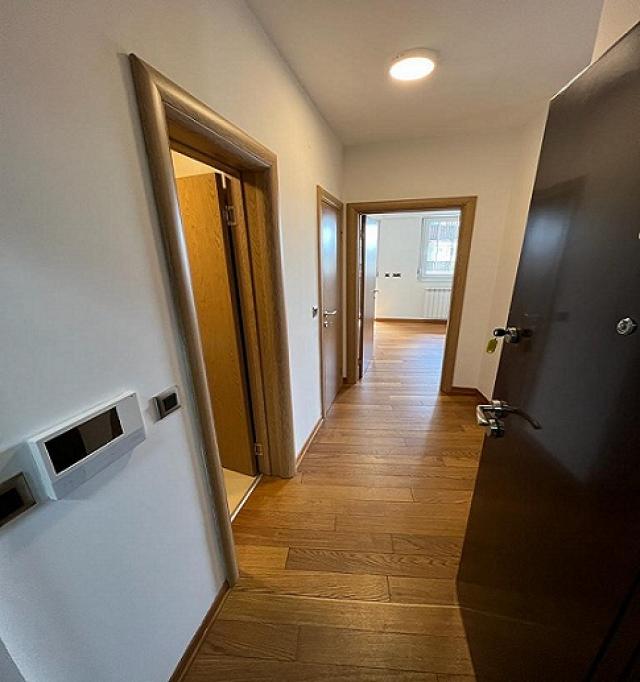 SAVSKI VENAC BEOGRAD NA VODI 55m2 , 1200e