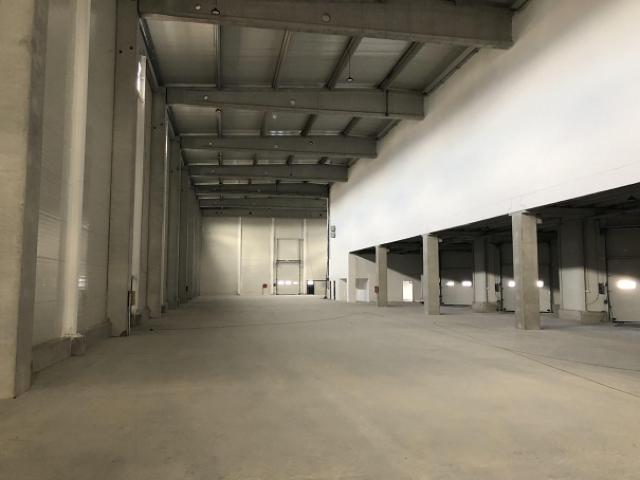 NOVI BEOGRAD AUTOPUT ZA ZAGREB 4600m2 , 1ha , 1000e