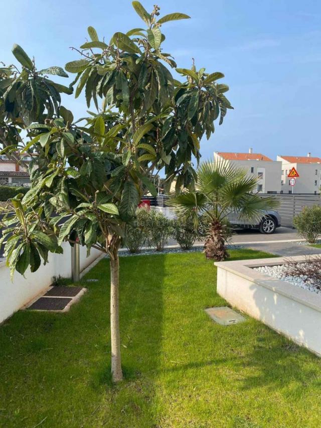 ISTRA, ROVINJ - 3SS+DB apartman nadomak plaža i centra grada