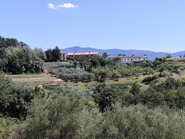 Istra, Buzet - građevinsko zemljište s pogledom na prirodu