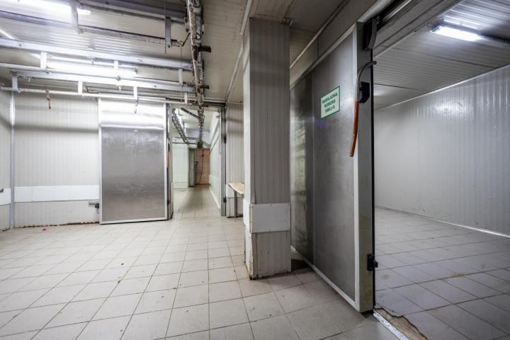 Fully Equipped Slaughterhouse in Cetinje with Storage and Freezing Chambers