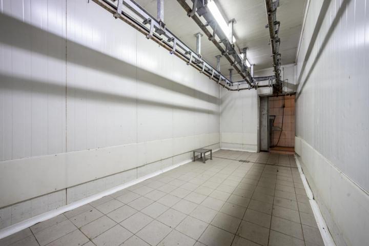 Fully Equipped Slaughterhouse in Cetinje with Storage and Freezing Chambers