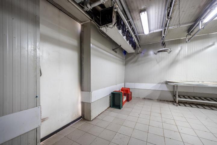 Fully Equipped Slaughterhouse in Cetinje with Storage and Freezing Chambers