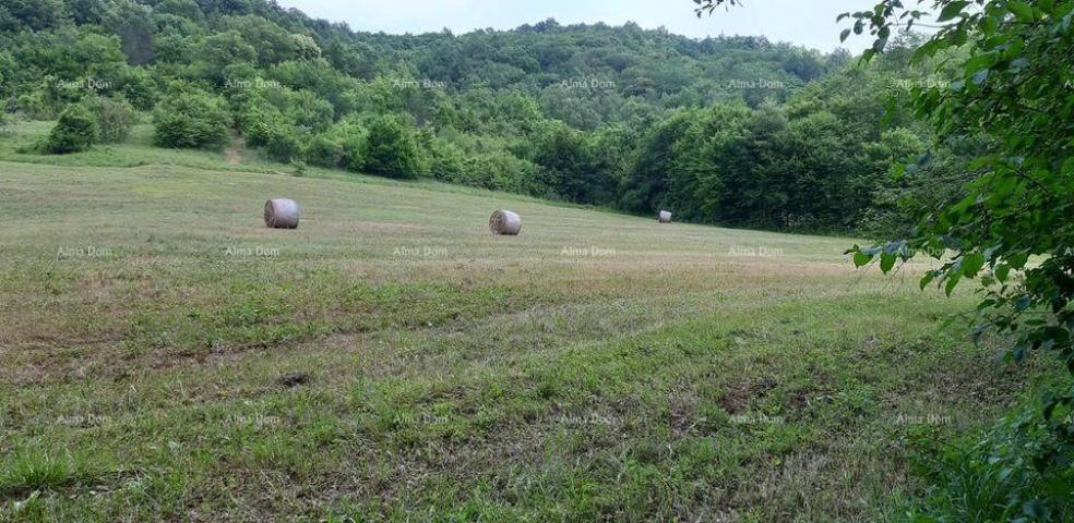 Haus Große Immobilie zum Verkauf in Zentralistrien, Pazin!