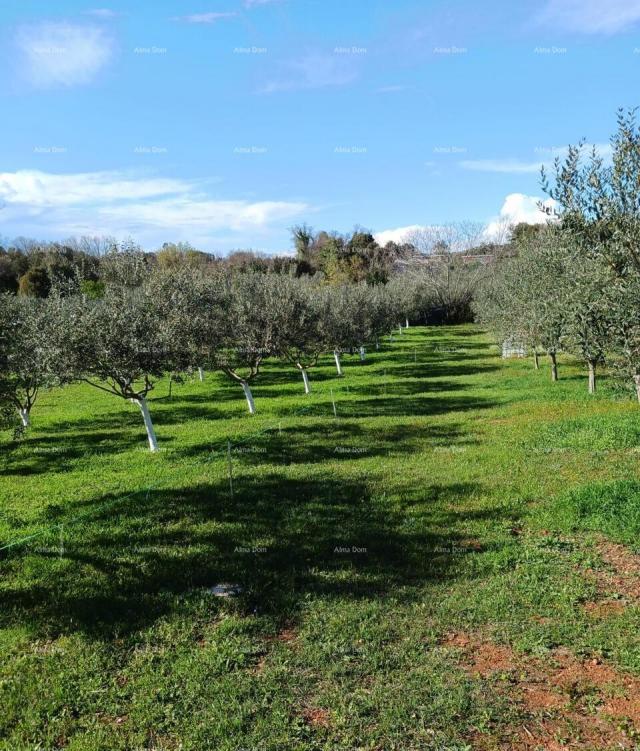 Agricultural land