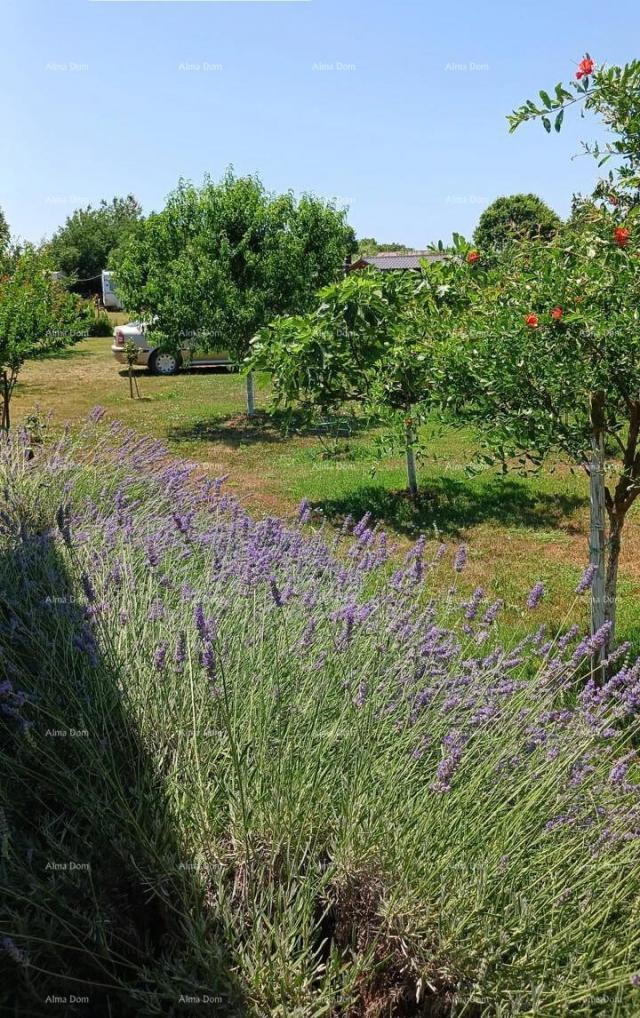 Agricultural land